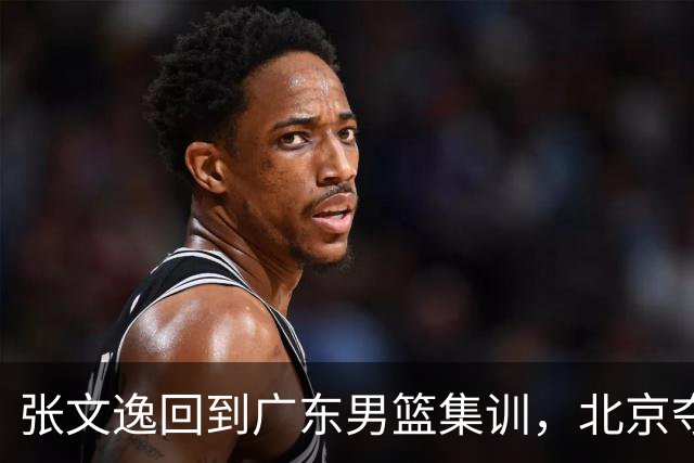 张文逸回到广东男篮集训，北京夺冠功勋确定退役，上海欲续约弗格